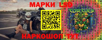 крисы Гусь-Хрустальный