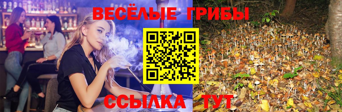 Псилоцибиновые грибы MAGIC MUSHROOMS  Галлюциногенные грибы GOLDEN TEACHER  Вход с VPN  Мичуринск 